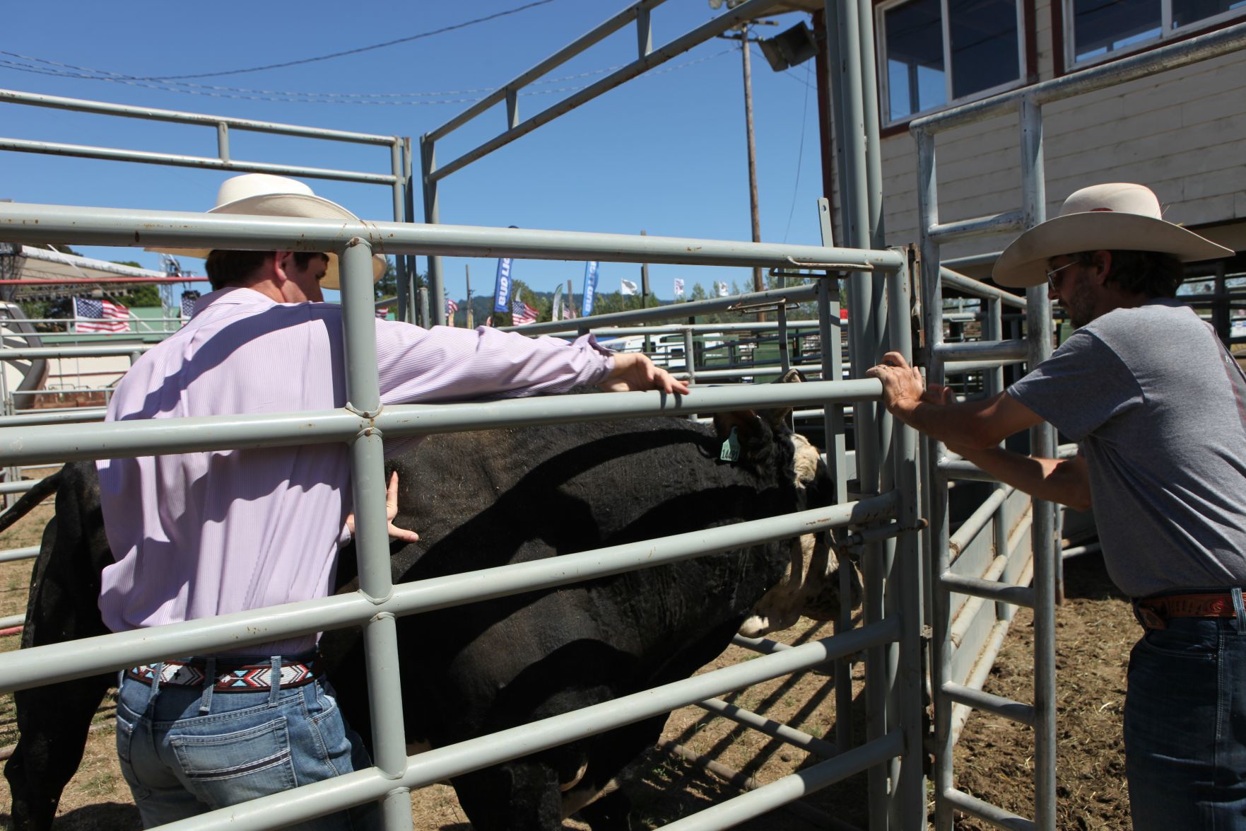 Jordan Sammons at Coos County Fair